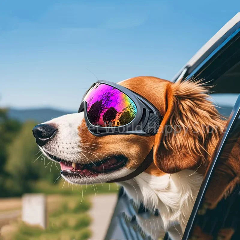 Midello pet sunglasses lens color options — colorful, silver, imitation red, transparent, gray