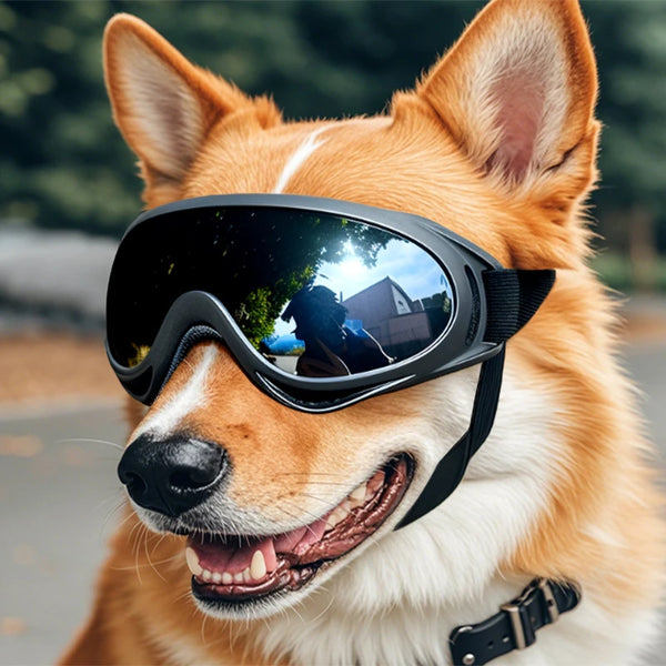 Dog-Sunglasses-Soft-Adjustable-UV-Protection-Pet-Goggles-Easy-Wear-Puppy-Glasses-For-Small-Medium-Breed.jpg