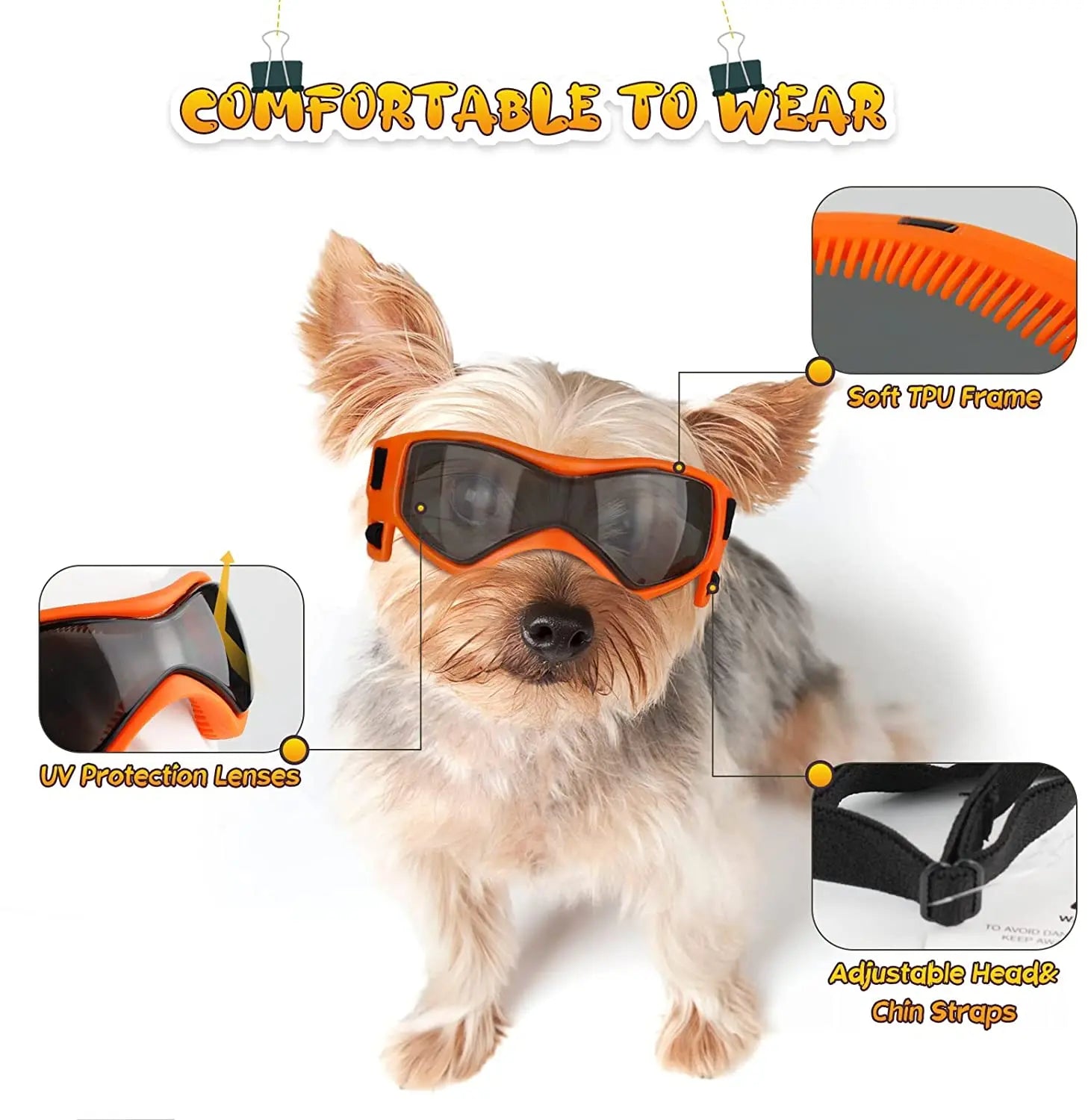 Midello dog UV goggles worn by a small dog on a sunny day