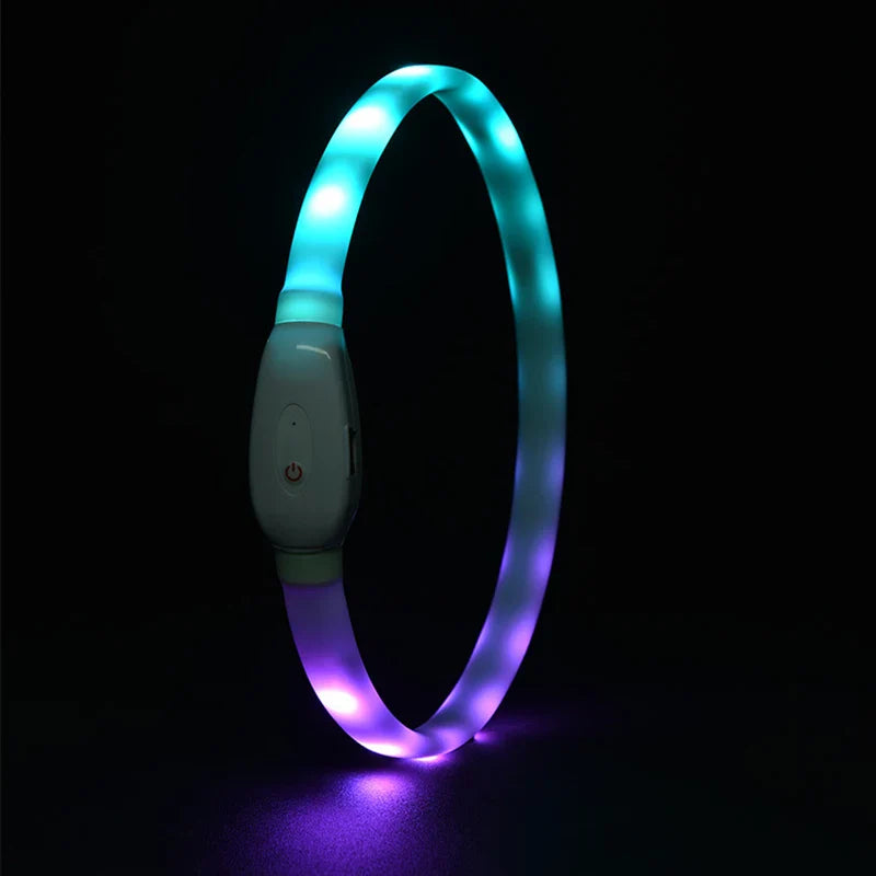 Midello LED dog collar charging via USB cable — rechargeable design