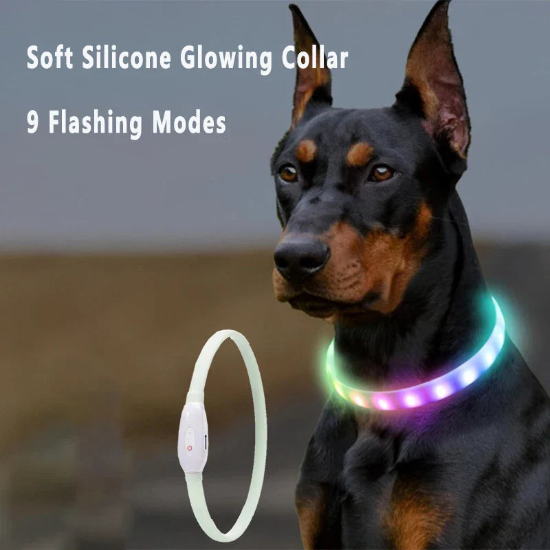 Midello ShimmerSafe USB rechargeable LED dog collar — glowing safety collar for night walks